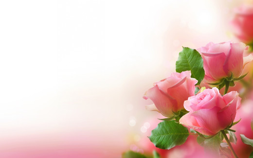 905547 (a): :2560x1600